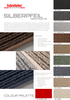 hoersteler_silberpfeil_flyer_en